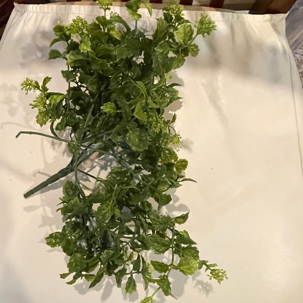 Greenery for decoration